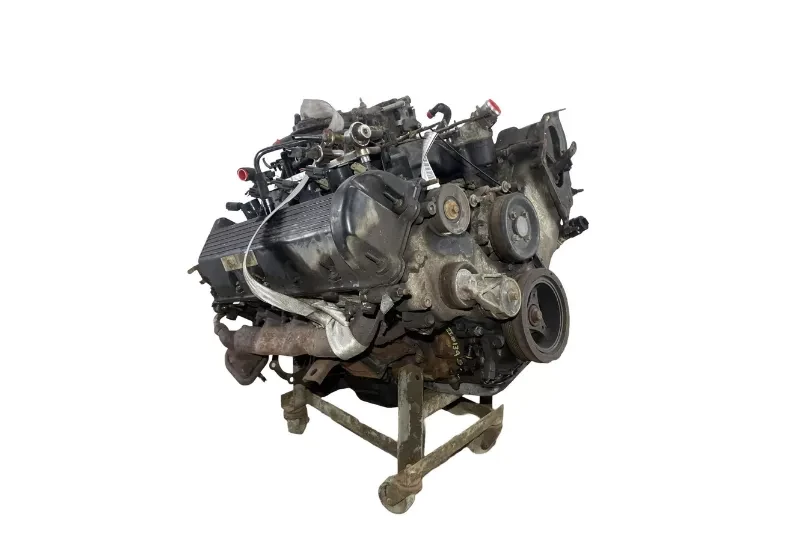 Mercury Grand Marquis Engine (1979 & Down Models)